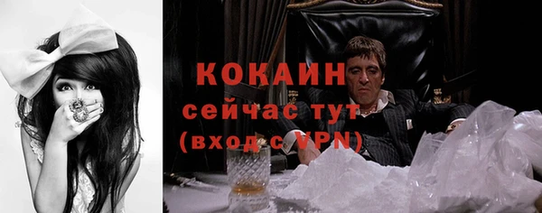 кокс Алексин