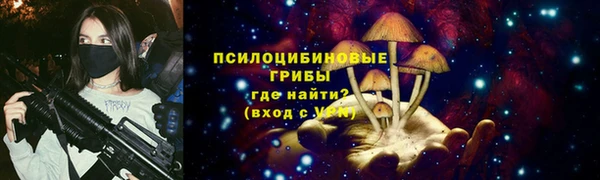 дживик Алексеевка