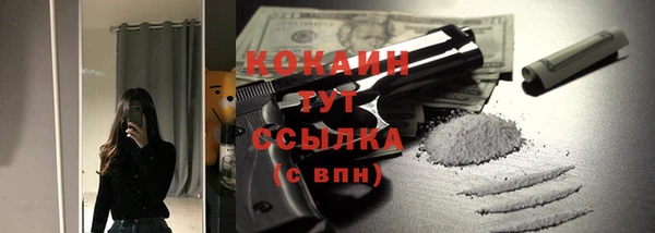 кокс Алексин