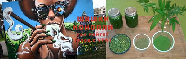 дмт Алзамай