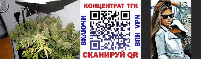 ТГК Wax  Ковылкино 